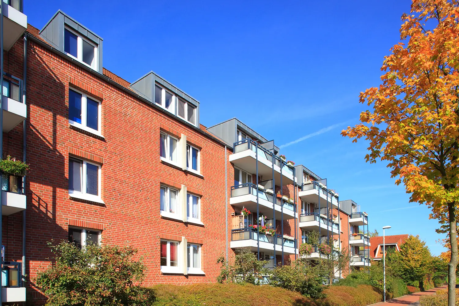 Right to Manage vs. Enfranchisement: Which is Best for Your Block of Flats?